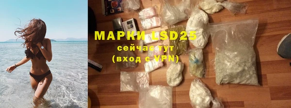 PSILOCYBIN Богородск