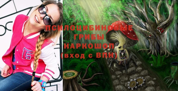 PSILOCYBIN Богородск