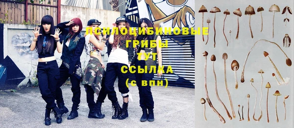 каннабис Богданович