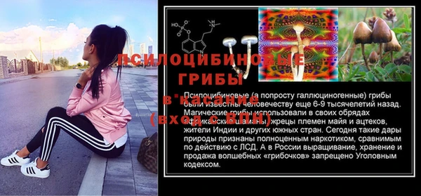 PSILOCYBIN Богородск
