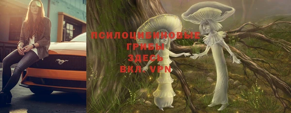 PSILOCYBIN Богородск