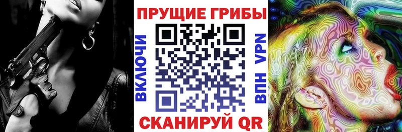 Купить  Нерехта  Галлюциногенные грибы мицелий 