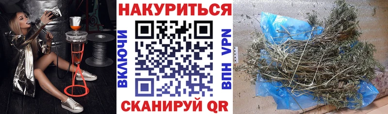 Купить  Нерехта  Конопля план 